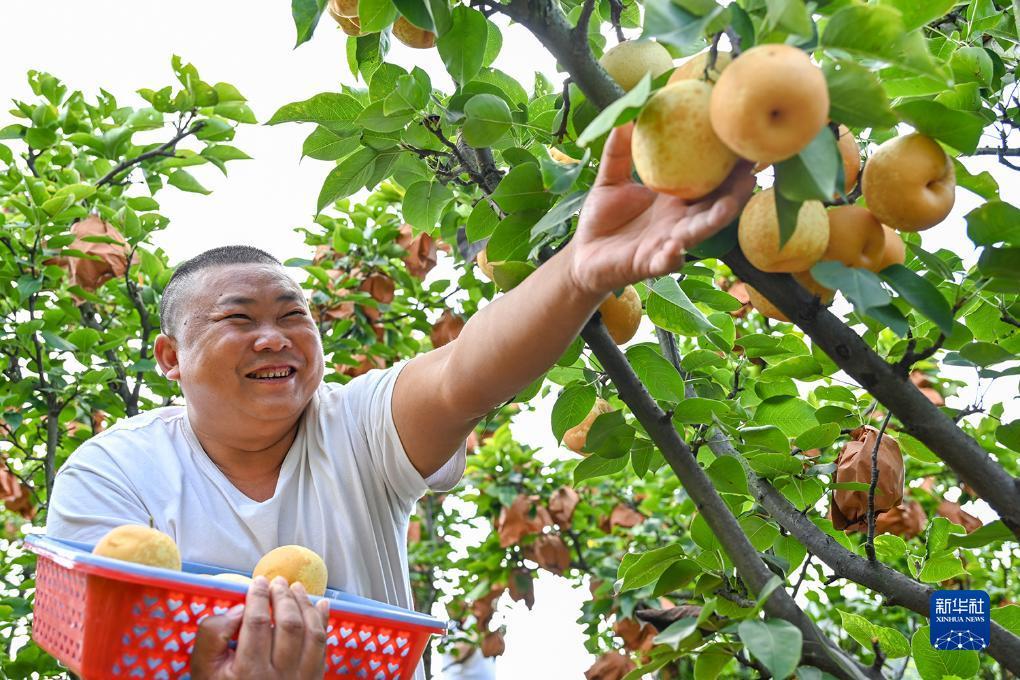 手机打鱼游戏现金